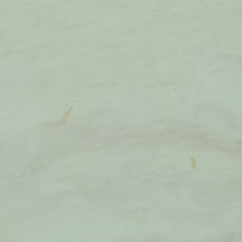 Load image into Gallery viewer, Vintage The Misfits Fiend Club T Shirt 2000s White L