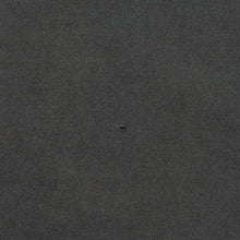 Load image into Gallery viewer, Vintage WINTERLAND Led Zeppelin Icarus Zoso 1995 Tour T Shirt 90s Black M