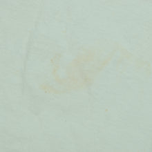 Load image into Gallery viewer, Vintage ONEITA Microsoft Windows 98 Top Bug Catcher T Shirt 90s White L