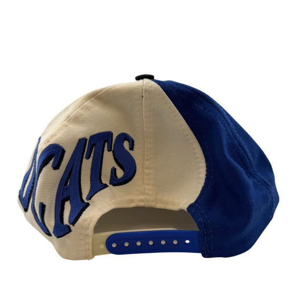 Vintage TOW Top of the World Kentucky Wildcats Color Block Swirl Wrap Around Snapback Hat 90s Multicolor