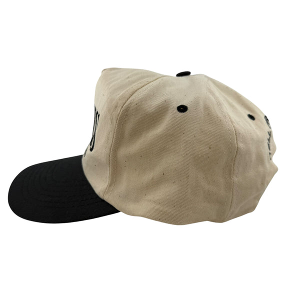 Vintage TC Eagles Hell Freezes Over World Tour 1994 Snapback Hat 90s Beige Black