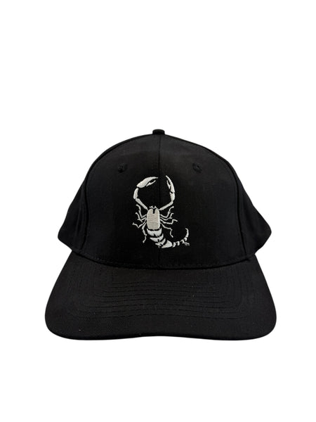 Vintage WCW nWo Sting Scorpion New World Order Wrestling Snapback Hat 90s Black