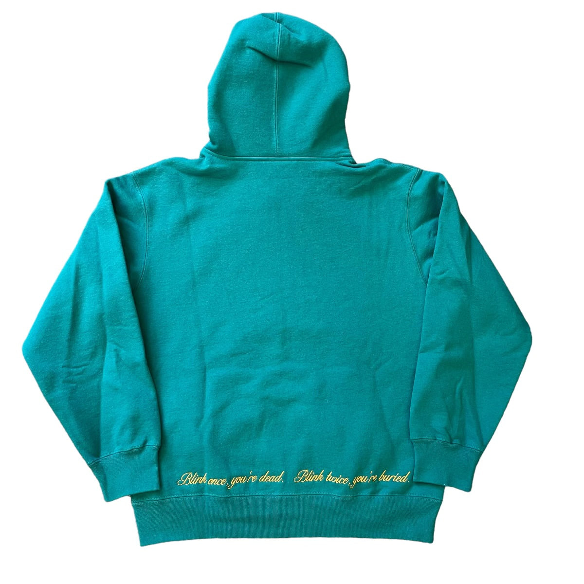 NWT Supreme Aeon Flux Zip Up Hooded Sweatshirt S/S22 Teal – Reset 
