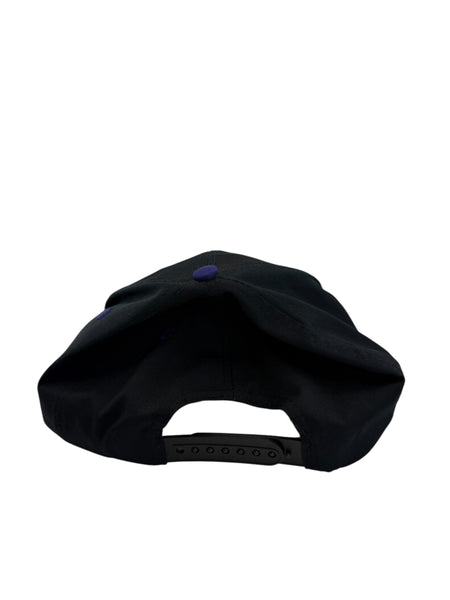 Vintage SPORTS SPECIALTIES Gatorade Life is a Sport Drink it Up Snapback Hat 90s Black Purple