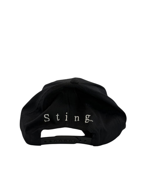 Vintage WCW nWo Sting Scorpion New World Order Wrestling Snapback Hat 90s Black