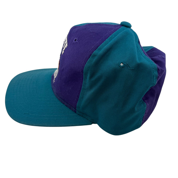 Vintage STARTER Charlotte Hornets The Classic Split Crown Two Tone Snapback Hat 90s Teal Purple