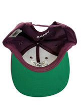 Load image into Gallery viewer, Vintage ANNCO Anaheim Mighty Ducks Snapback Hat 90s Purple
