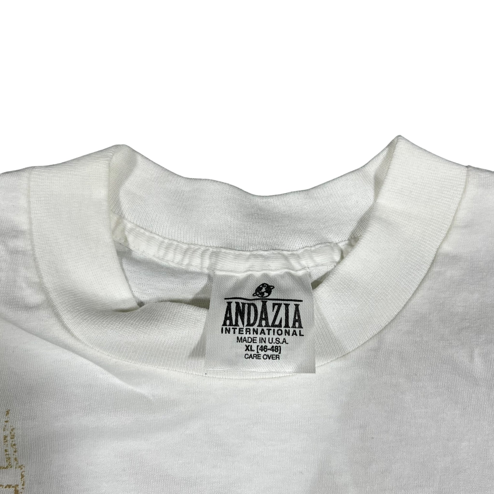 Vintage ANDAZIA Frank Lloyd Wright Imperial Hotel Tokyo Japan Art