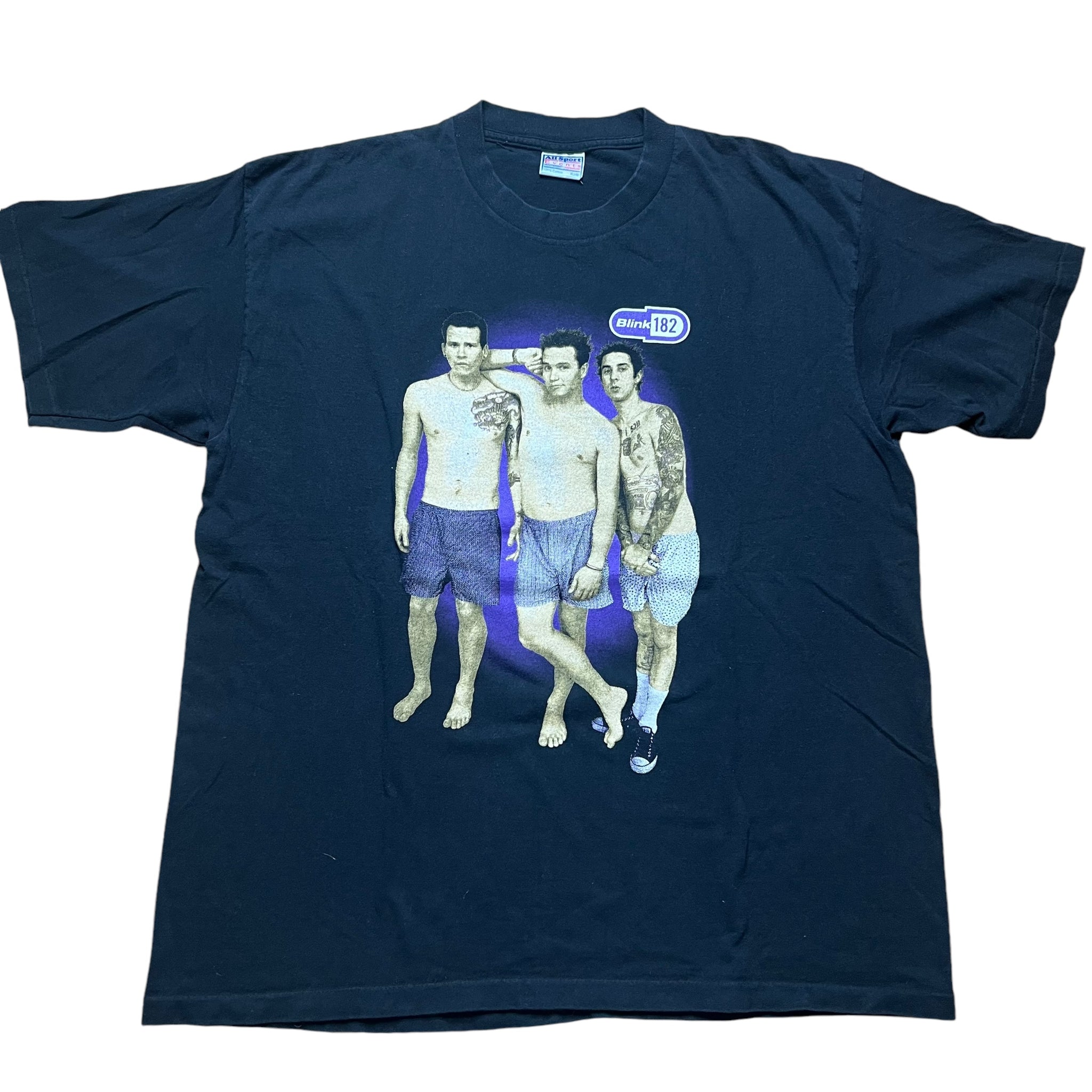 Vintage ALL SPORT Blink 182 Enema of the State Album Shirtless