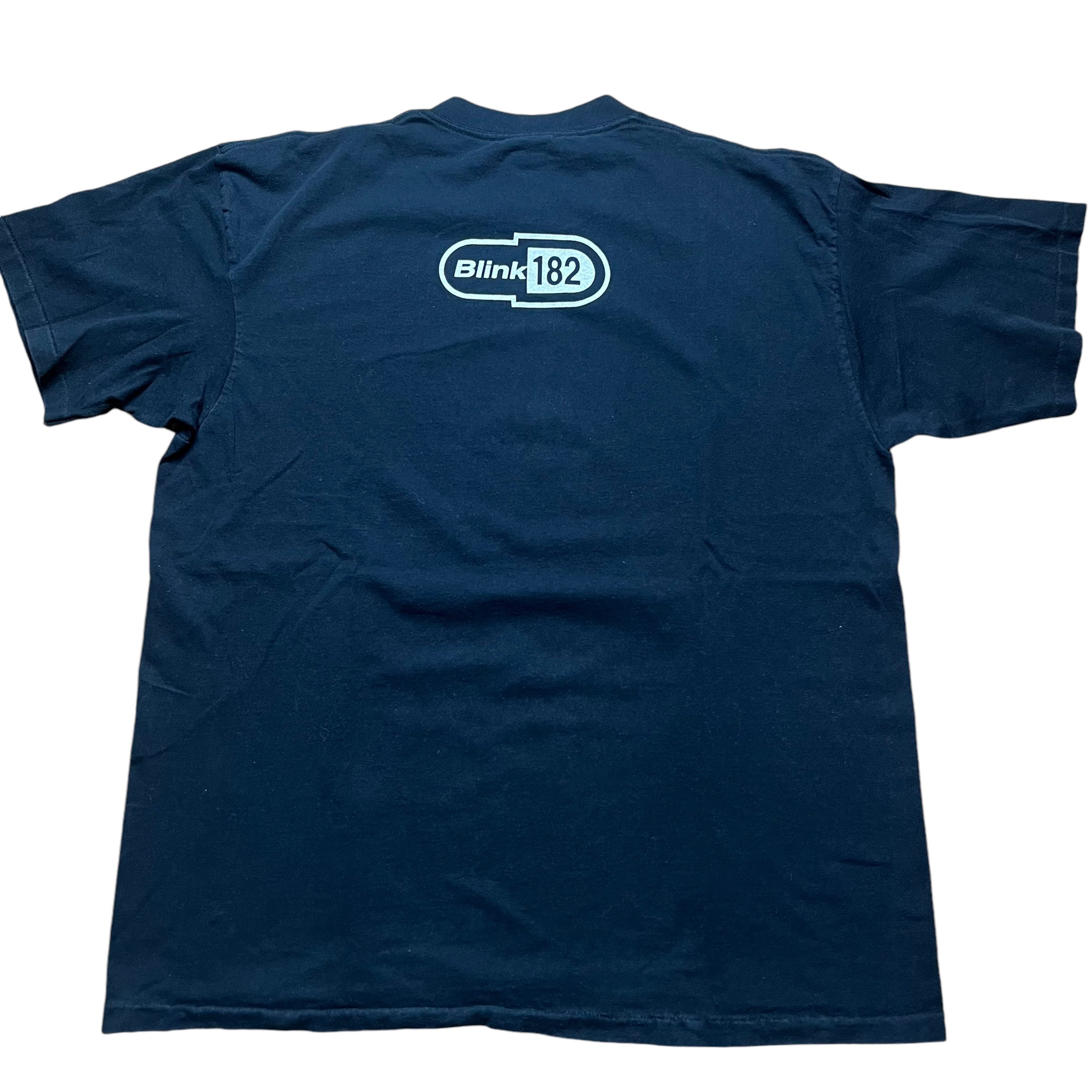 Vintage ALL SPORT Blink 182 Enema of the State Album Shirtless