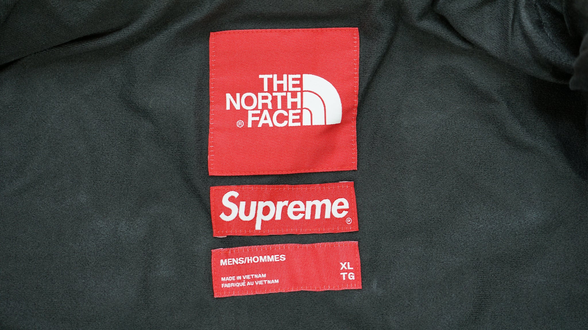 DS New Supreme TNF North Face Mountain Jacket FW 19 Statue of