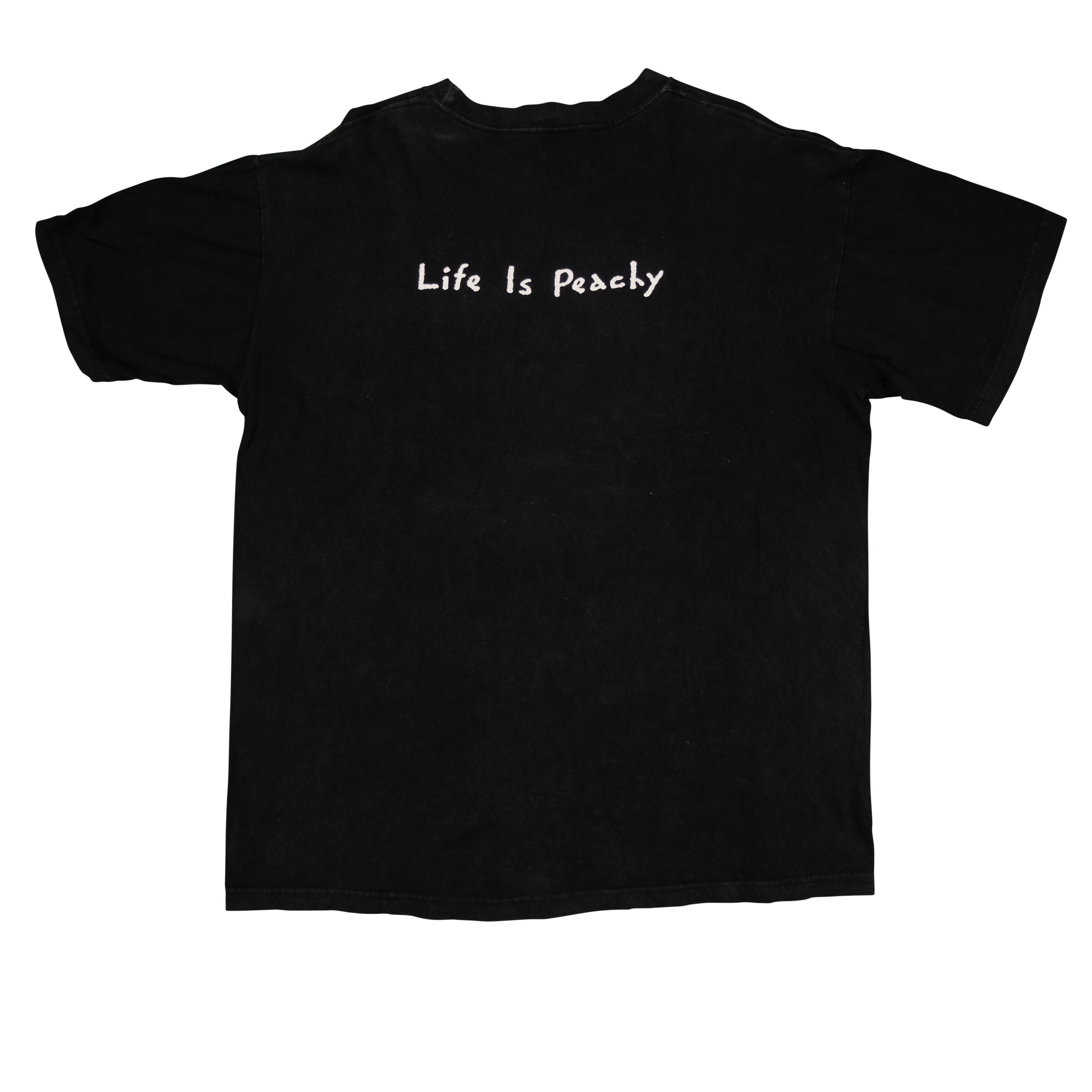 Vintage 1996 Korn Life Is Peachy Album Tee by Giant | Reset