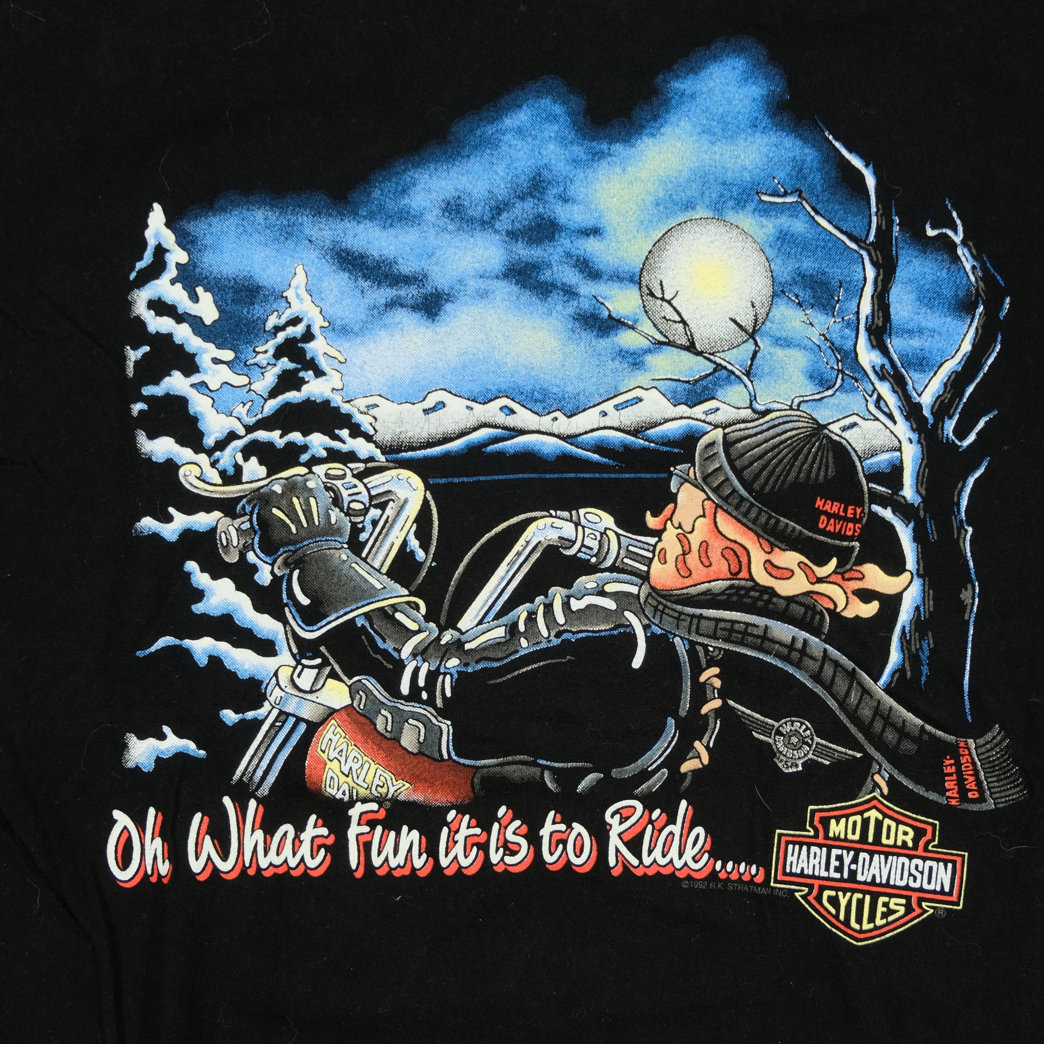 Vintage HARLEY DAVIDSON Oh What Fun It Is To Ride Iceland T Shirt 90s –  Reset Web Store